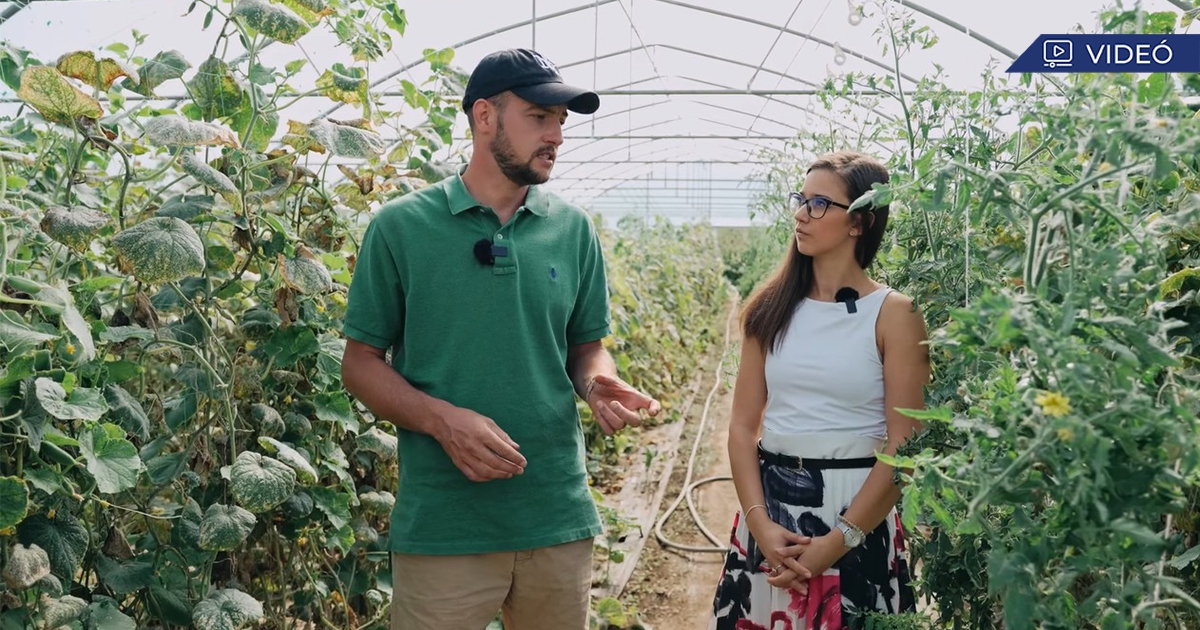 Kertészet látogatás Felsőboldogfalván